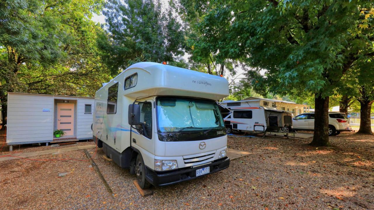Big4 Porepunkah Holiday Park Bright Exterior photo