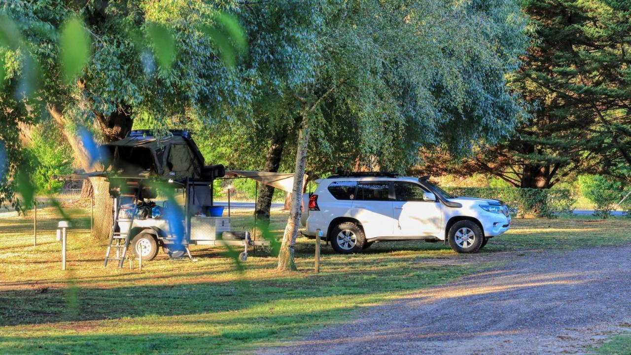 Big4 Porepunkah Holiday Park Bright Exterior photo